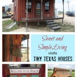 Tiny Texas Houses