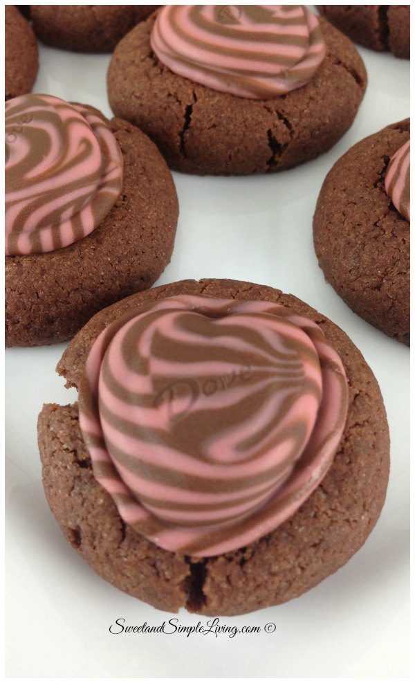 Chocolate Cookies Homemade closeup