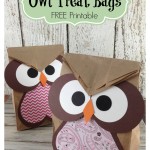 Owl Crafts: Easy Treat Bag (Perfect for Parties)