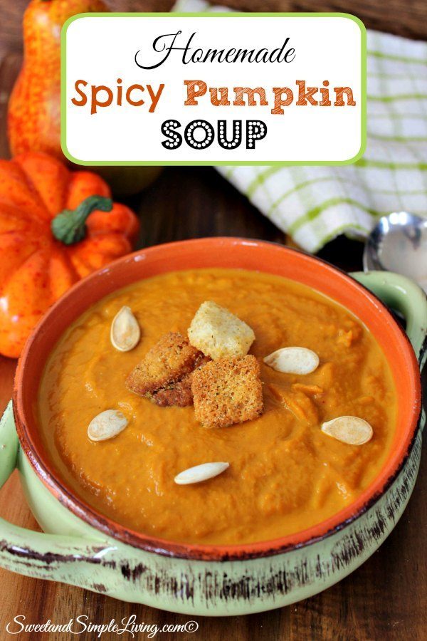 Homemade Spicy Pumpkin Soup