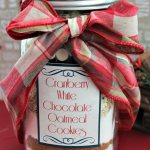 Cranberry White Chocolate Cookies in a Jar