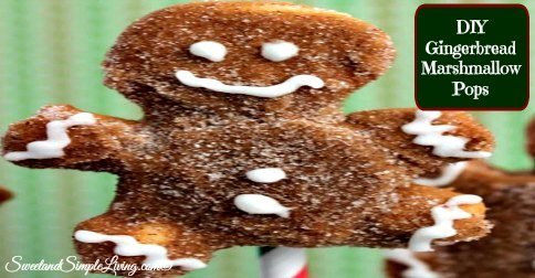 DIY Gingerbread Marshmallow Pops