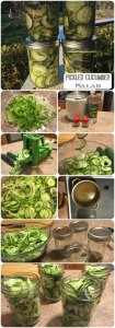 Fresh Pickled Cucumber Salad Recipe Process