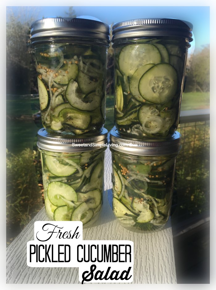 Pickled Cucumber Salad Recipe