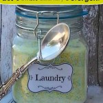 DIY Powder Laundry Detergent