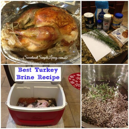 Turkey Brine (Amazing Flavor!)
